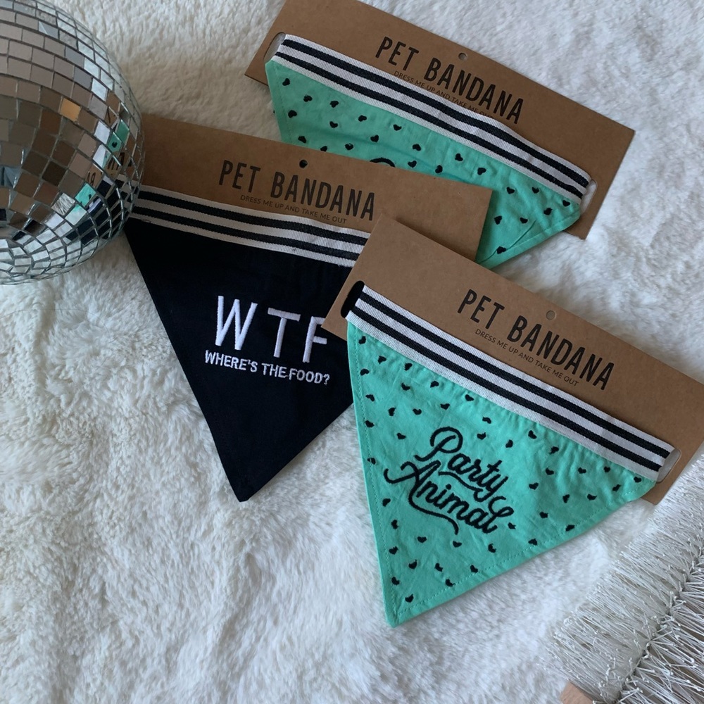 Party animal pet bandana